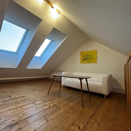 Schoenes In Zentrumsnaehe Graz